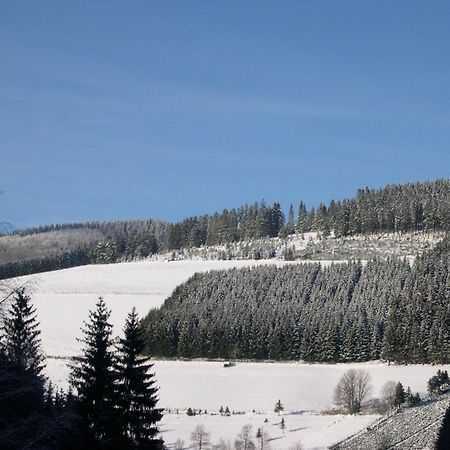 Appartamento Haus Wald-Eck Schmallenberg Esterno foto