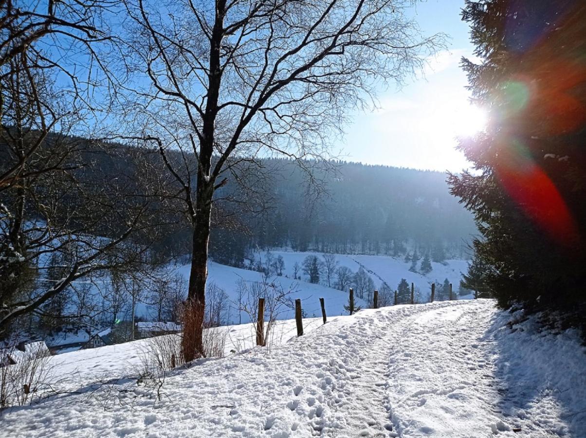 Appartamento Haus Wald-Eck Schmallenberg Esterno foto