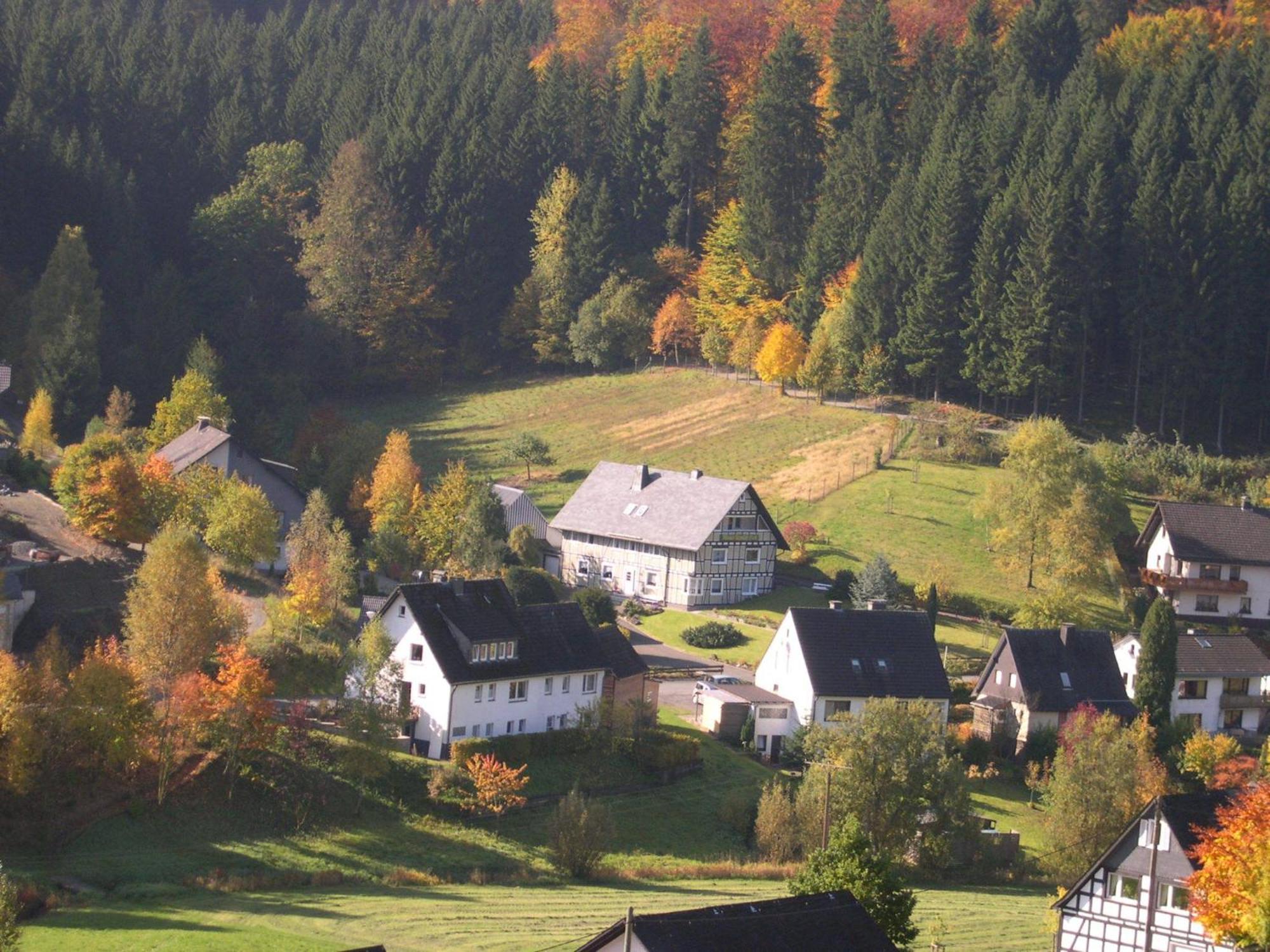 Appartamento Haus Wald-Eck Schmallenberg Esterno foto