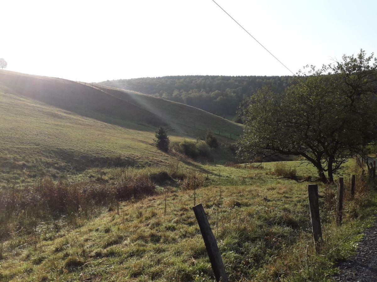 Appartamento Haus Wald-Eck Schmallenberg Esterno foto