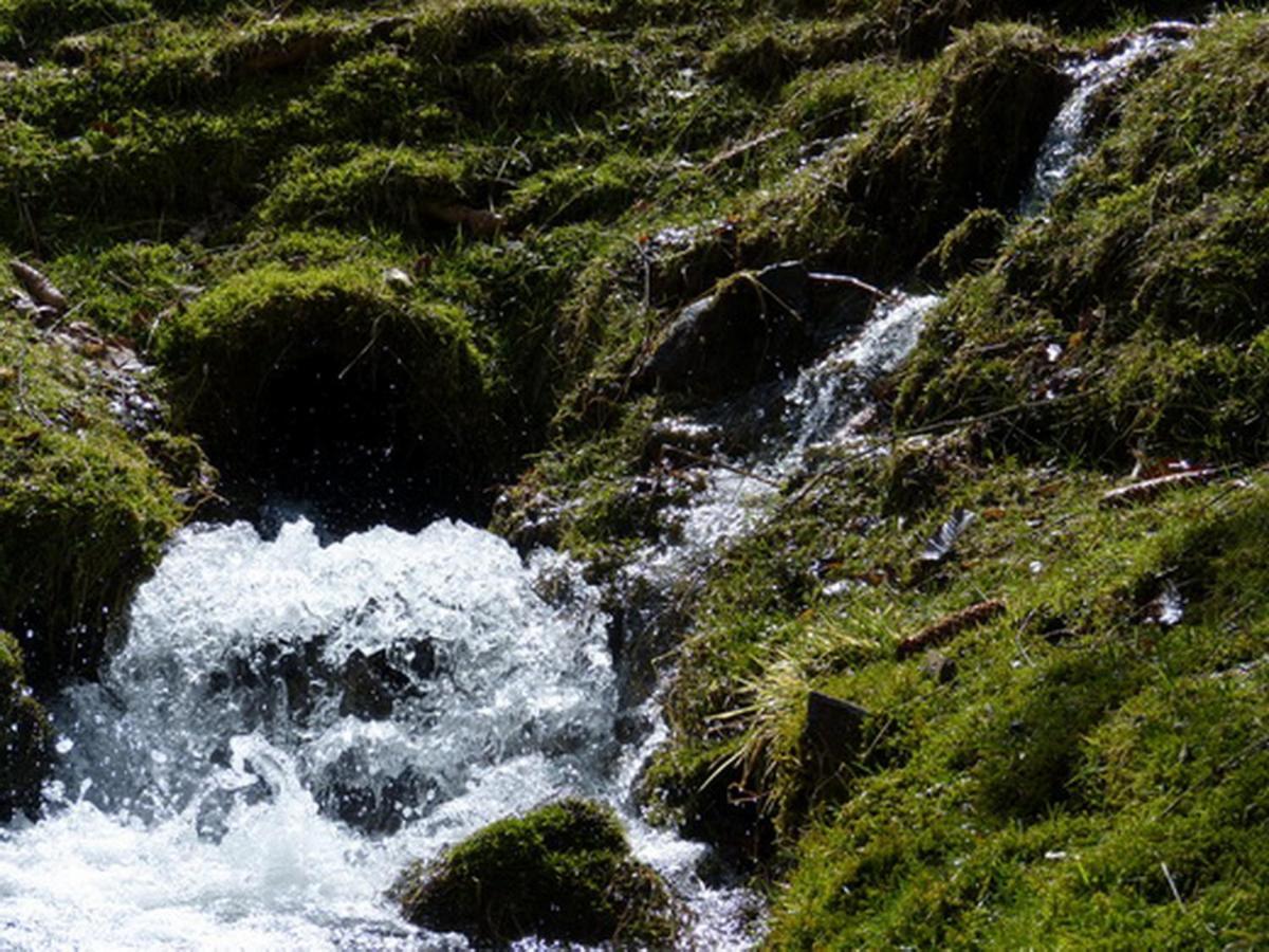 Appartamento Haus Wald-Eck Schmallenberg Esterno foto