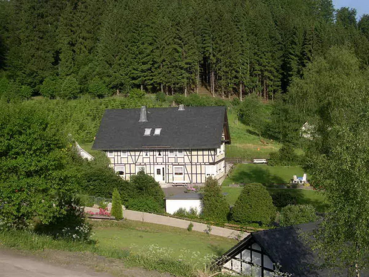 Appartamento Haus Wald-Eck Schmallenberg Esterno foto